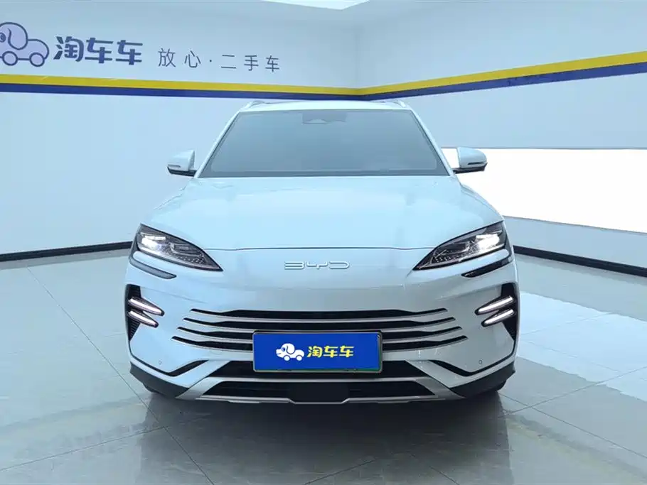 BYD PLUS New Energy 2024 — фото 2