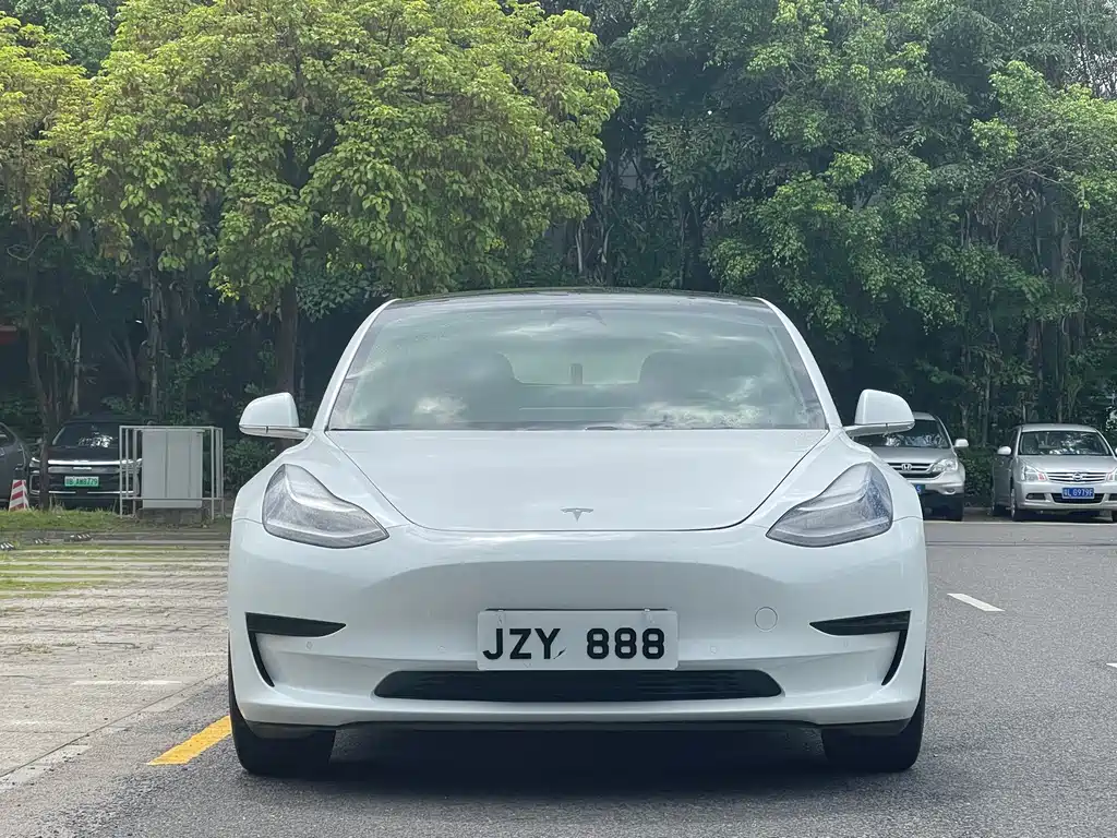 Tesla Model 3 2019