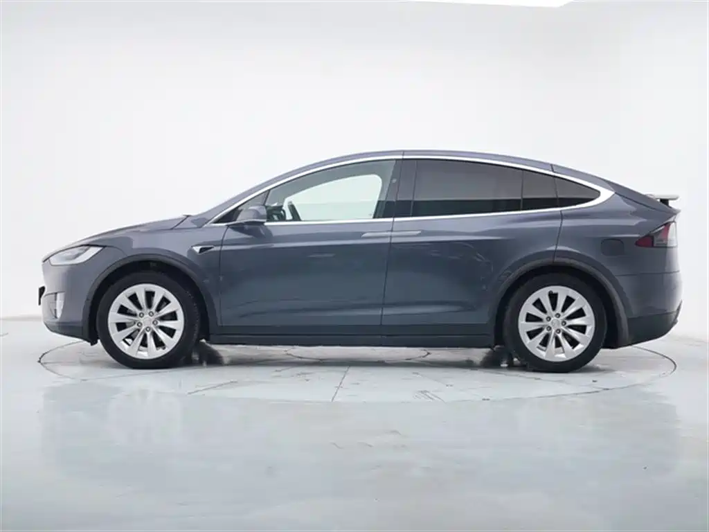 Tesla Model X 2020