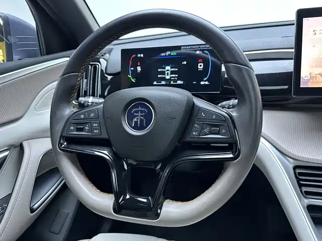 BYD Song Pro New Energy 2024 — фото 11