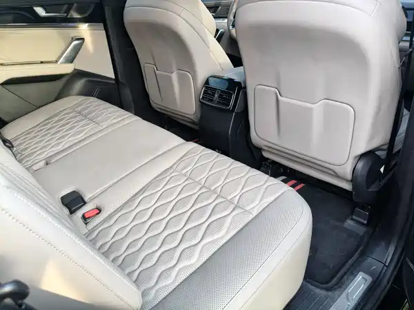 BYD Tang New Energy 2024