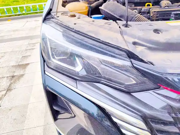 Dongfeng Yixuan MAX 2021