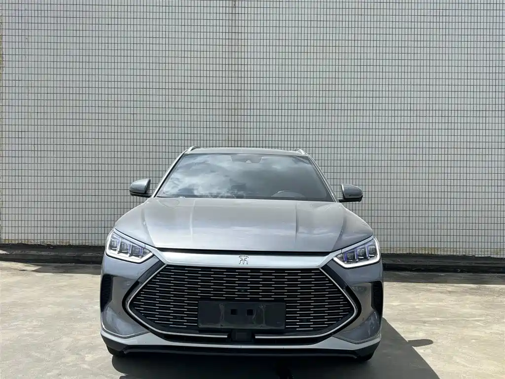 BYD PLUS New Energy 2021 — фото 2