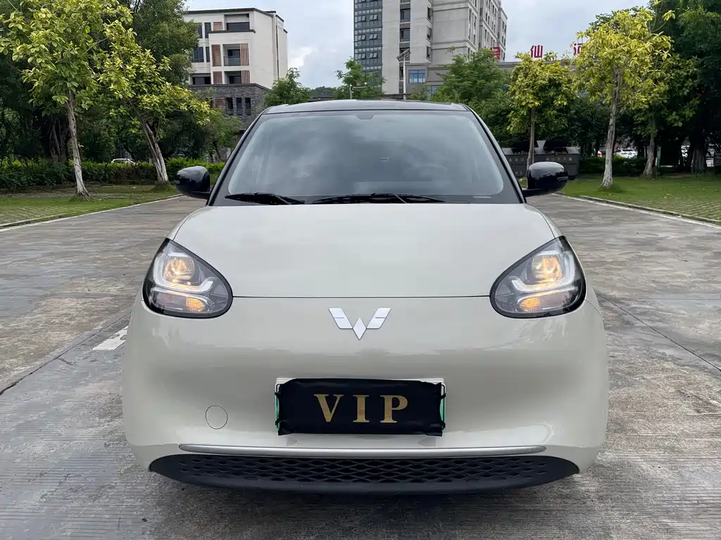 Wuling Bingo 2023