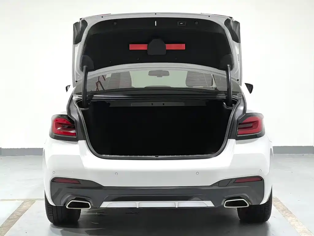 BMW 5 Series 2021