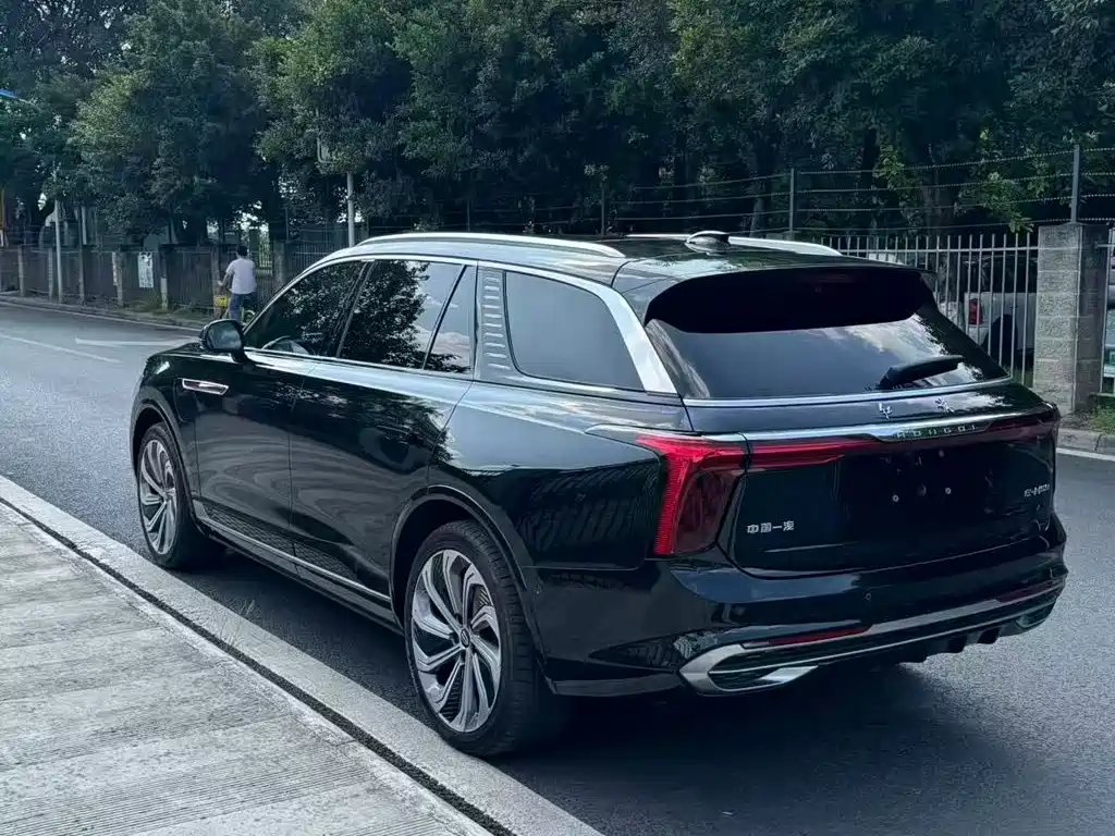 Hongqi E-HS9 2021