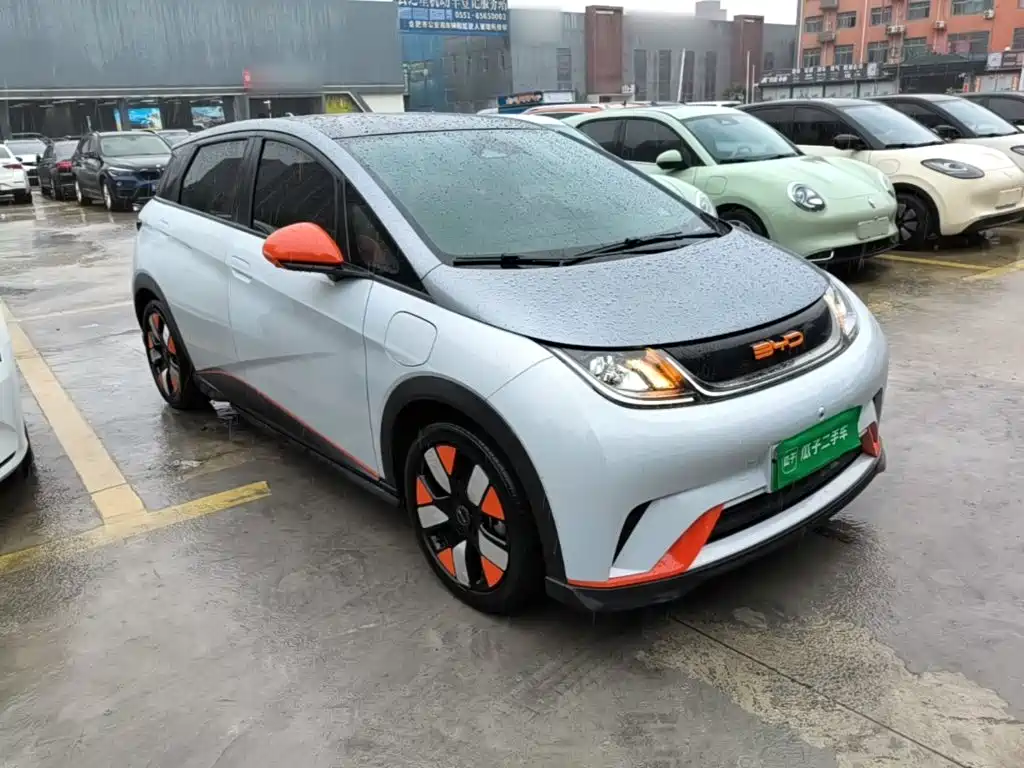 BYD Dolphin 2022