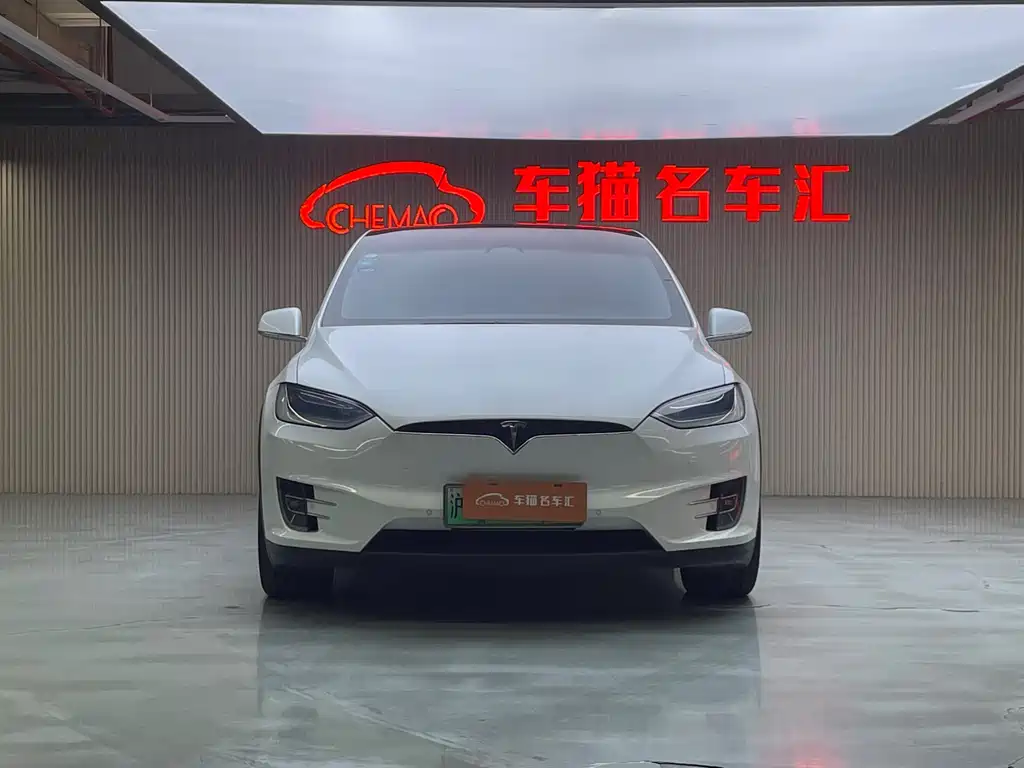 Tesla Model X 2018 — фото 2