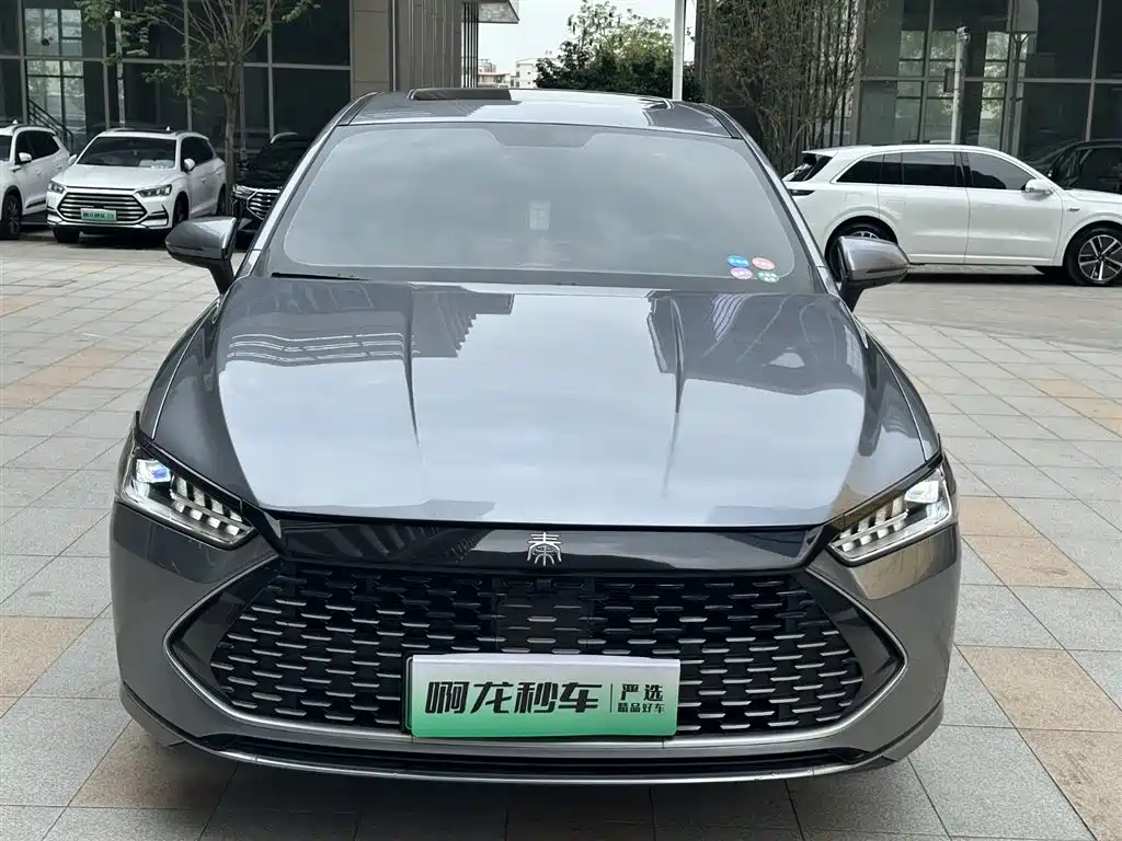 BYD Qin PLUS 2023 — фото 3