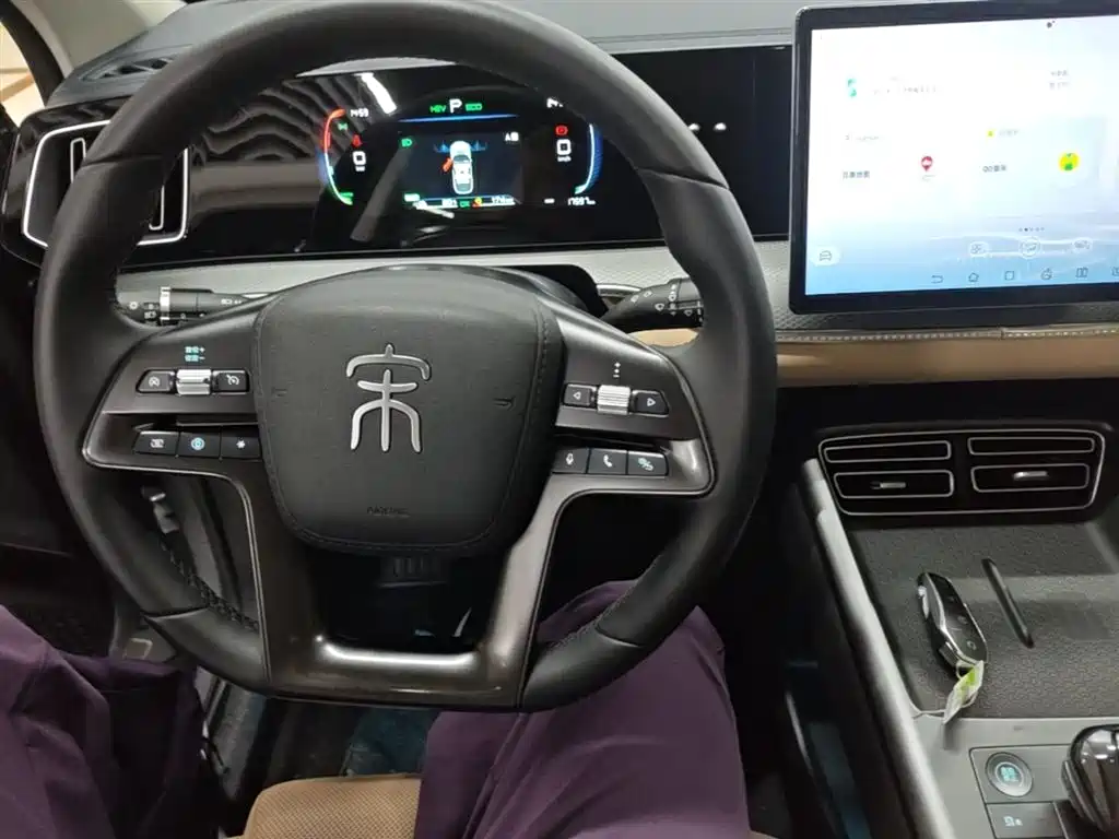 BYD Pro New Energy 2025 — фото 10