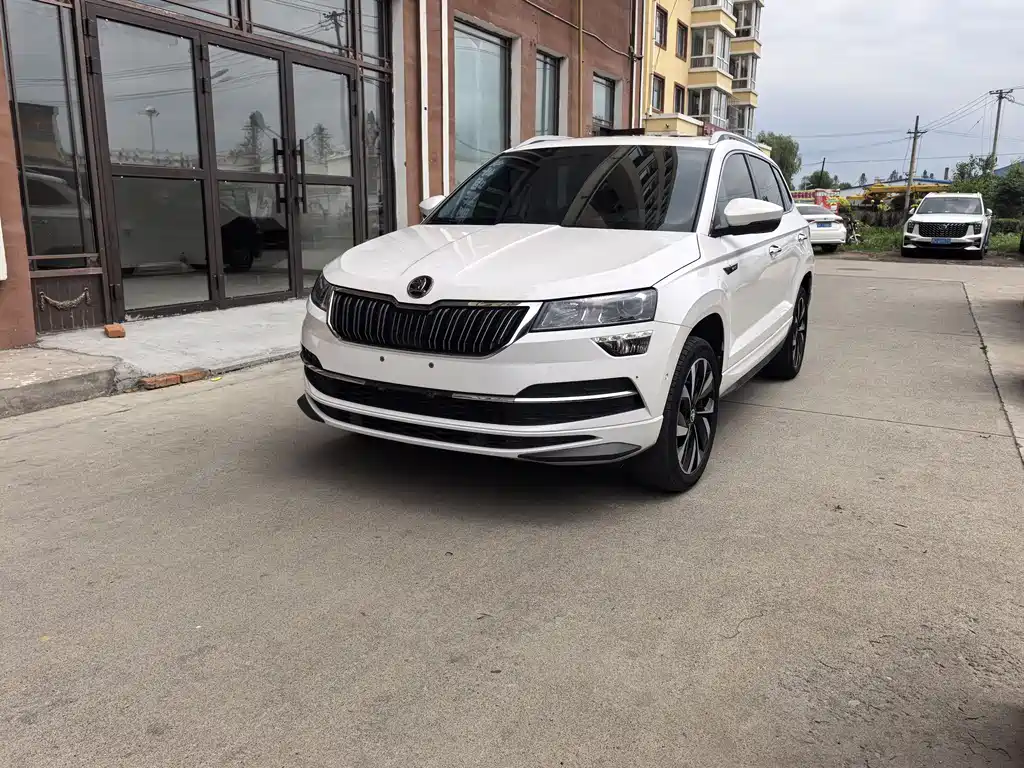 Skoda Karoq 2022 — фото 1