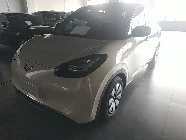 Wuling Bingo 2024