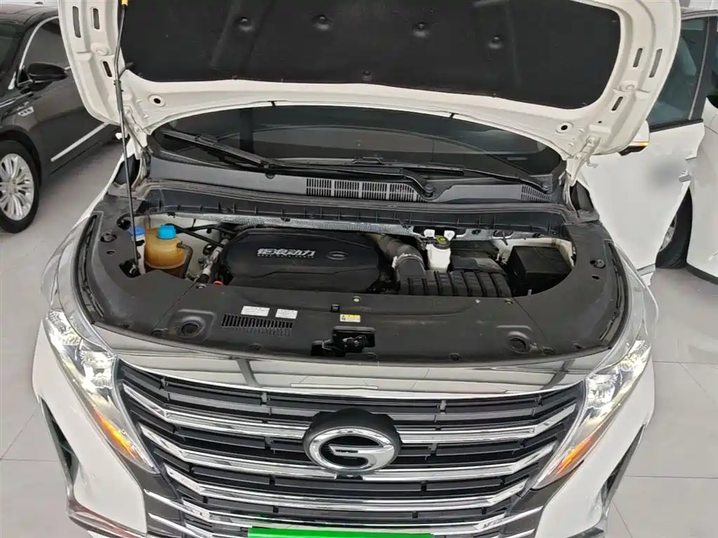 GAC Motor Trumpchi M8 2021 — фото 20
