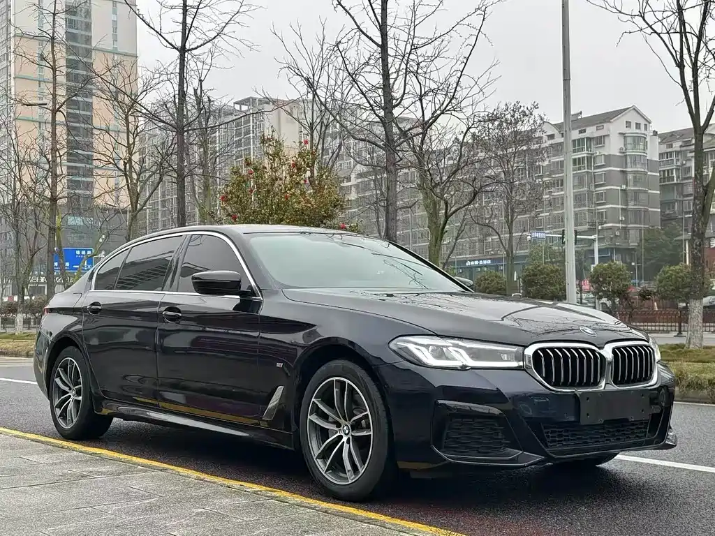 BMW 5 Series 2021