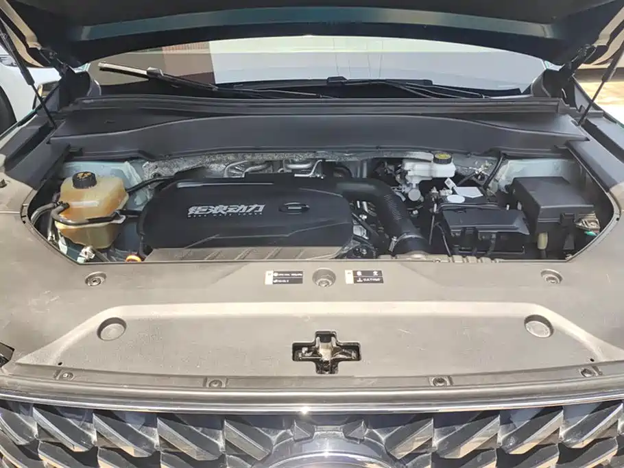 GAC Motor Trumpchi GS8 2021 — фото 10