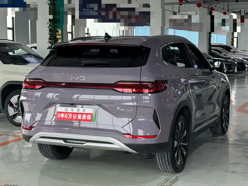 BYD PLUS New Energy 2024 — фото 6