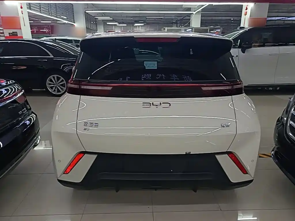 BYD Seagull 2024