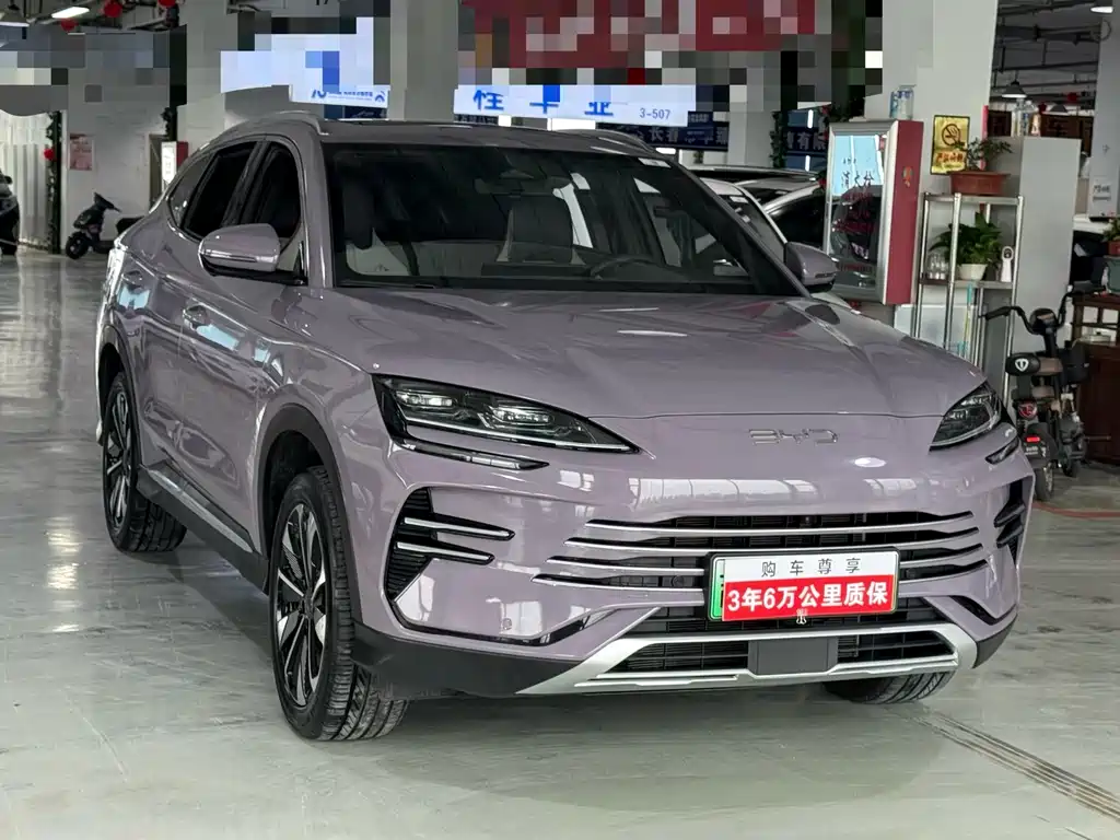 BYD PLUS New Energy 2024 — фото 3