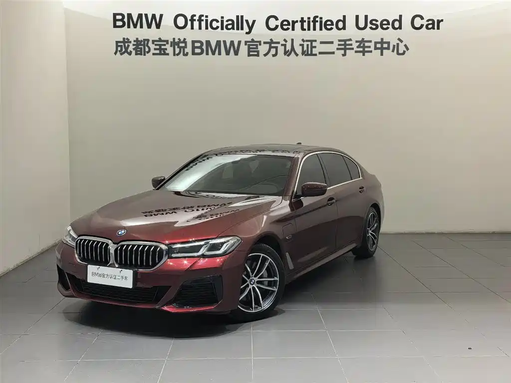 BMW 5 Series New Energy 2022