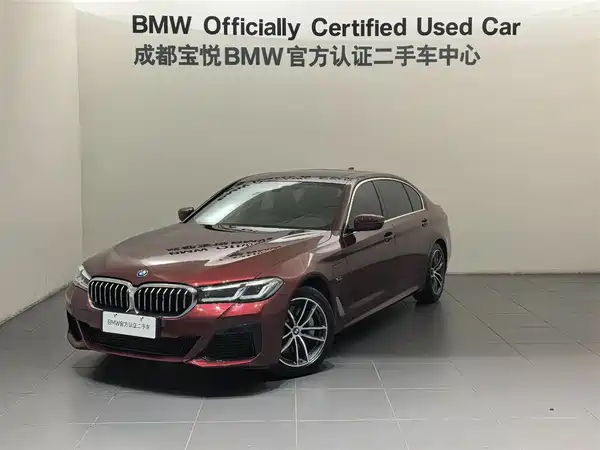 BMW 5 Series New Energy 2022