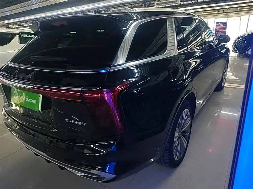 Hongqi E-HS9 2023 — фото 7