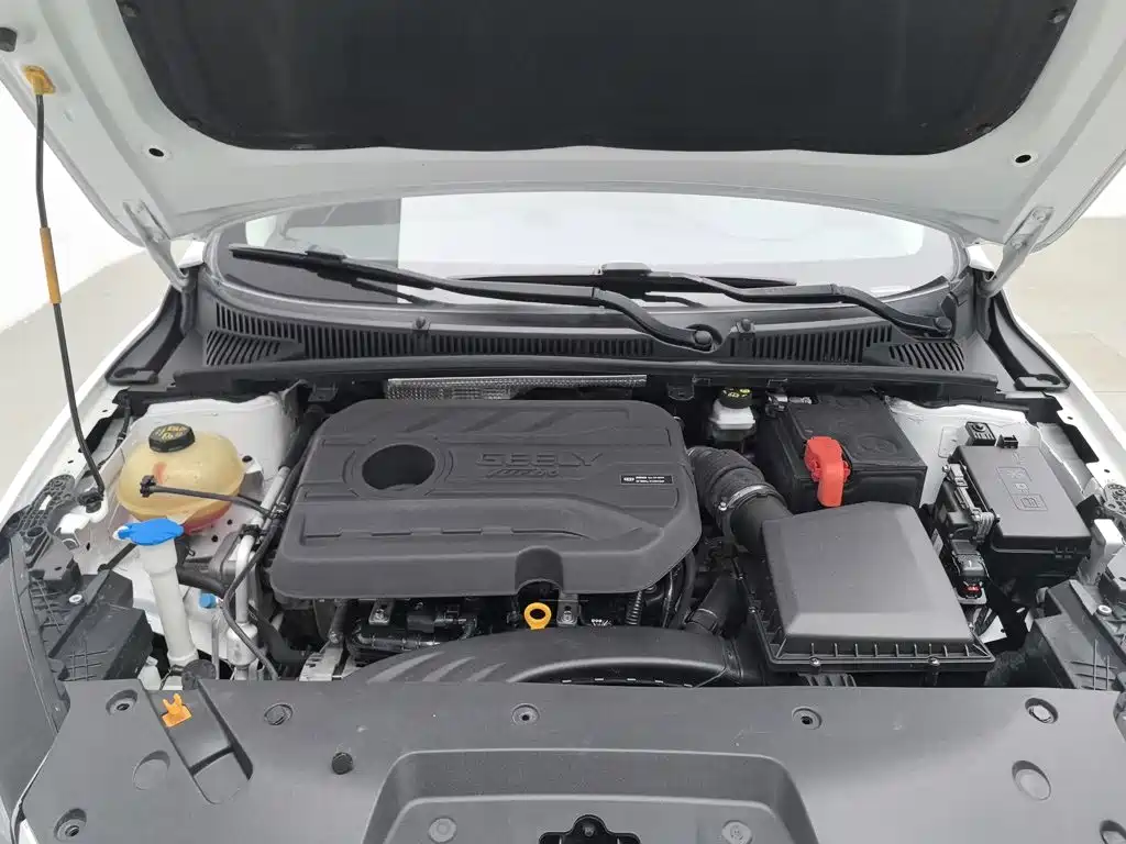 Geely Binrui 2021