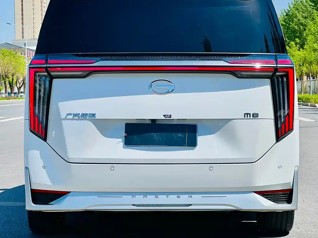 GAC Motor Trumpchi M8 2024 — фото 8