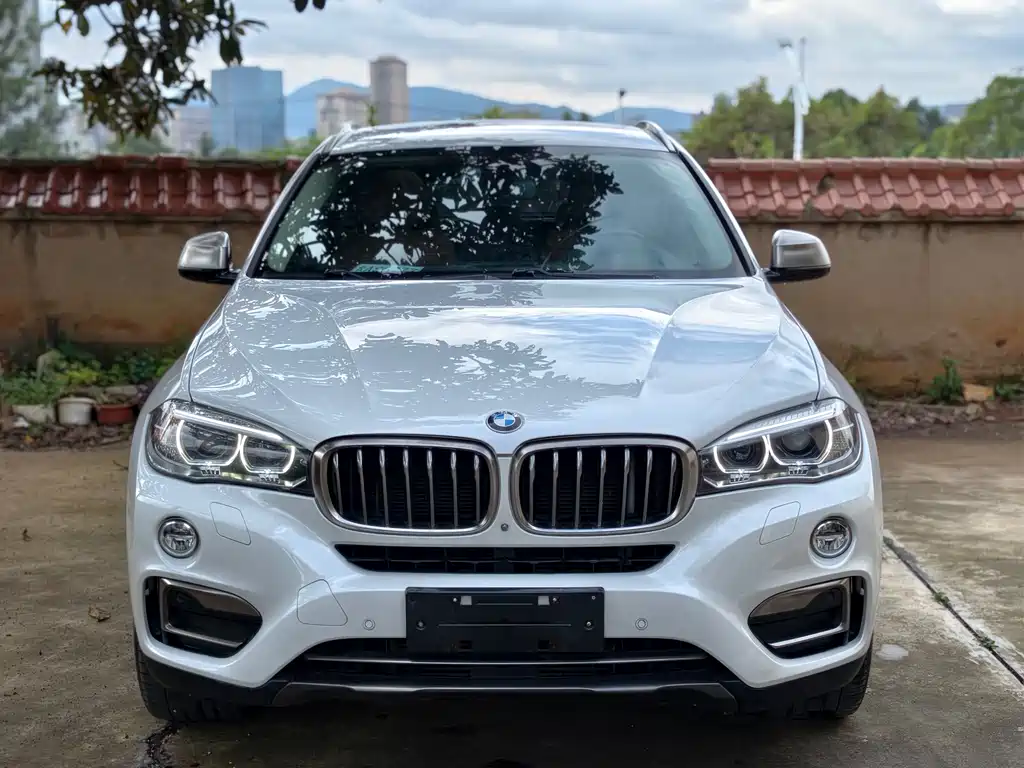 BMW X6 2019 — фото 2