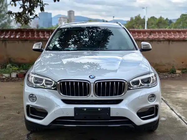 BMW X6 2019