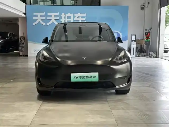 Tesla Model Y 2024 — фото 2