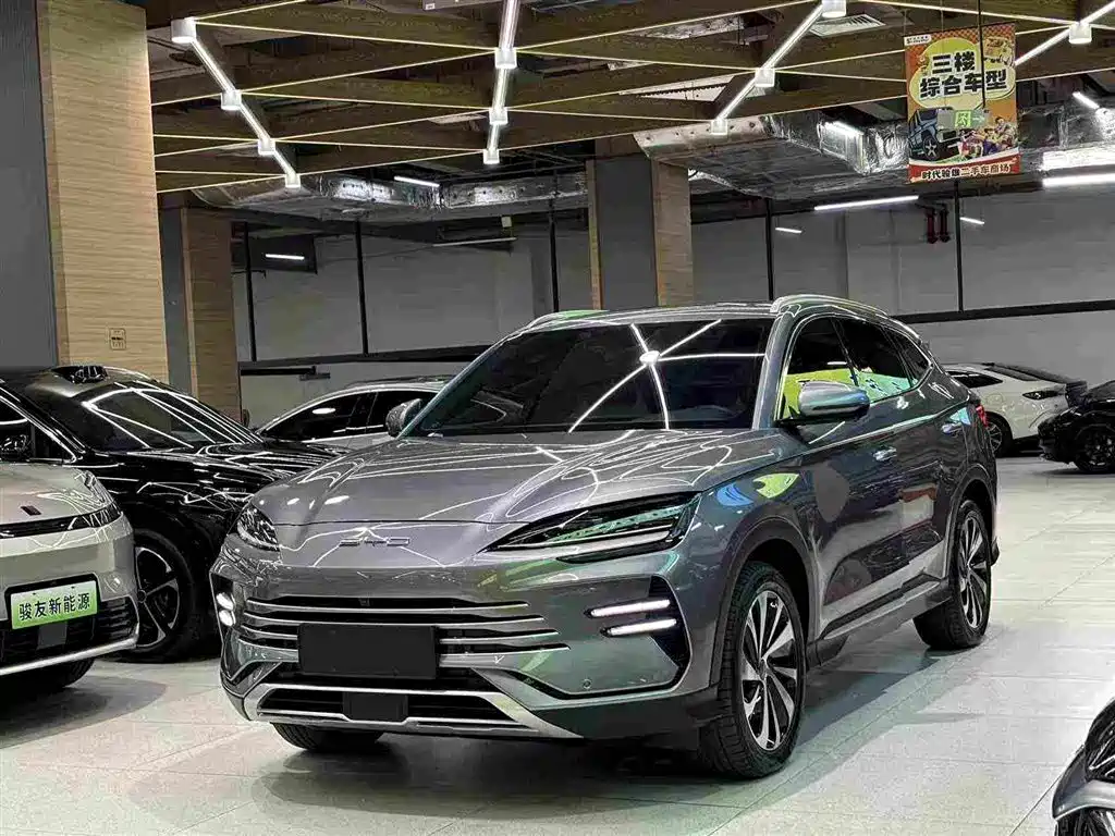 BYD Song PLUS New Energy 2024 — фото 1