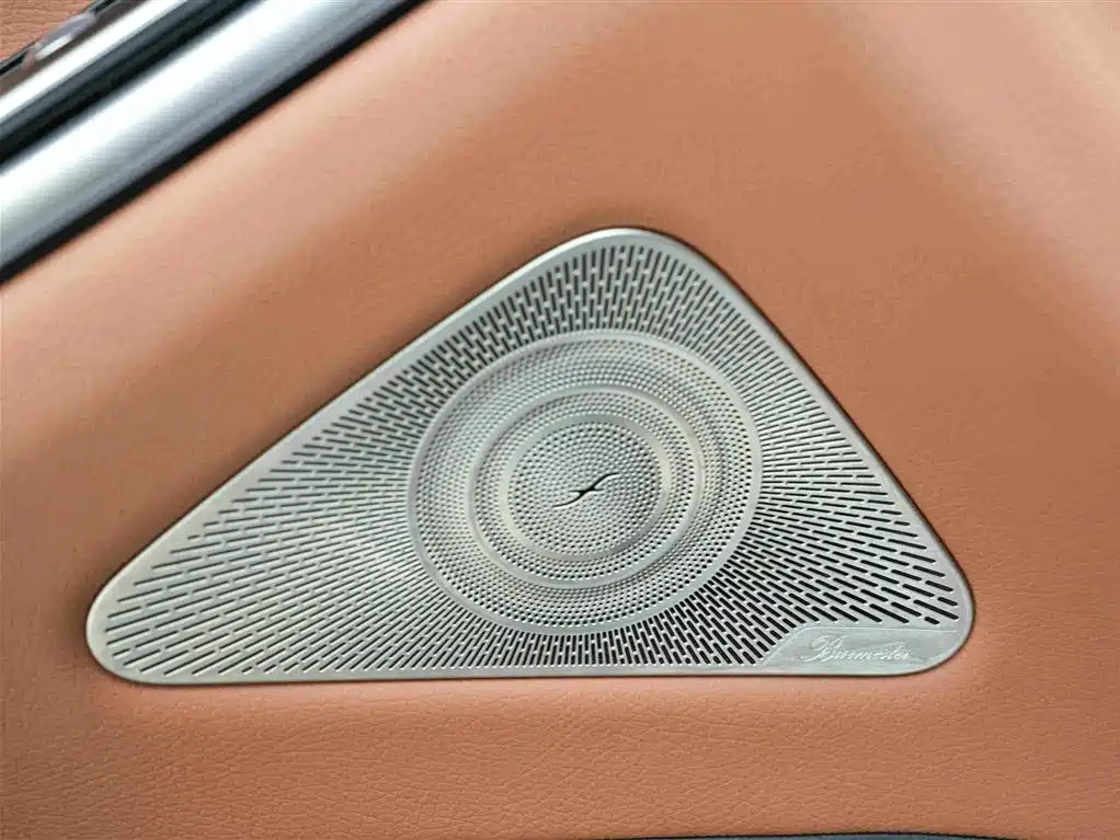 Mercedes-Benz S-Class 2022 — фото 15
