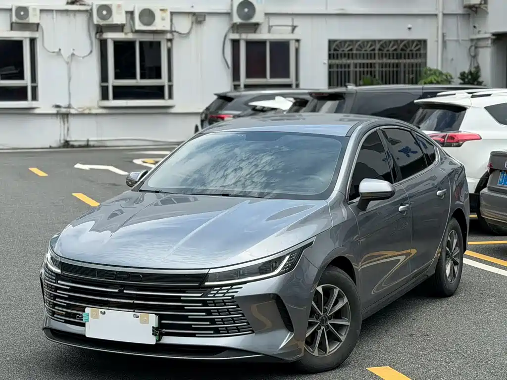 BYD Destroyer 05 2024 — фото 16