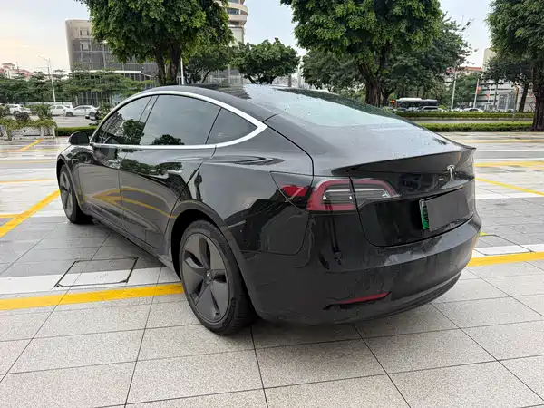 Tesla Model 3 2019