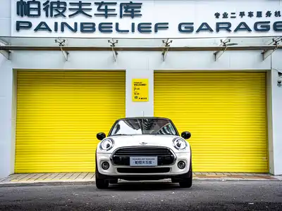 MINI MINI 2021