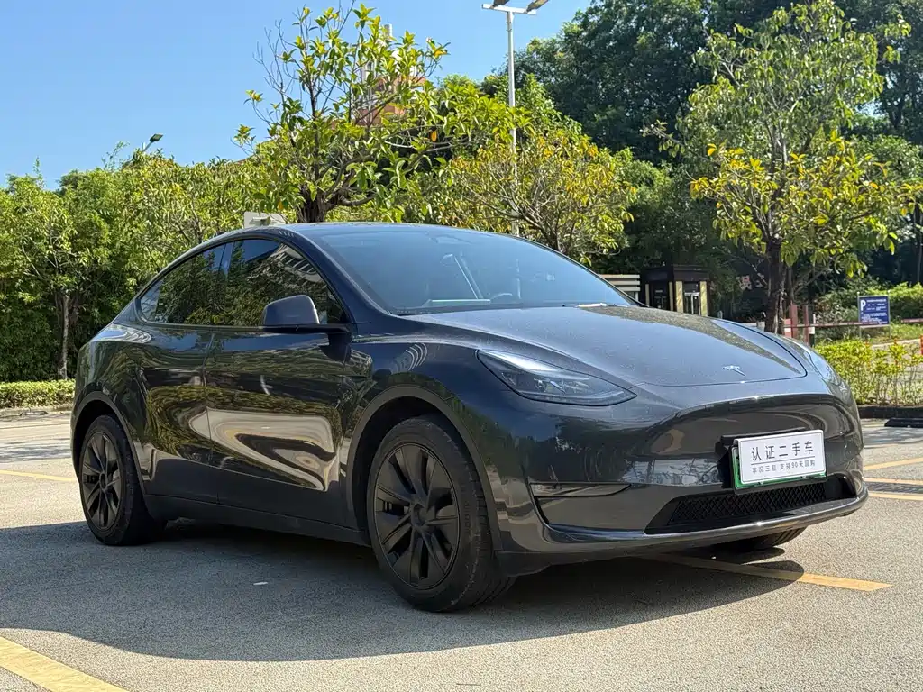 Tesla Model Y 2024 — фото 3