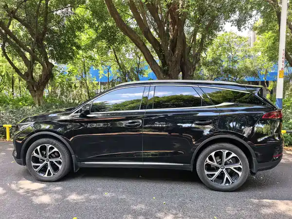 BYD Tang New Energy 2025