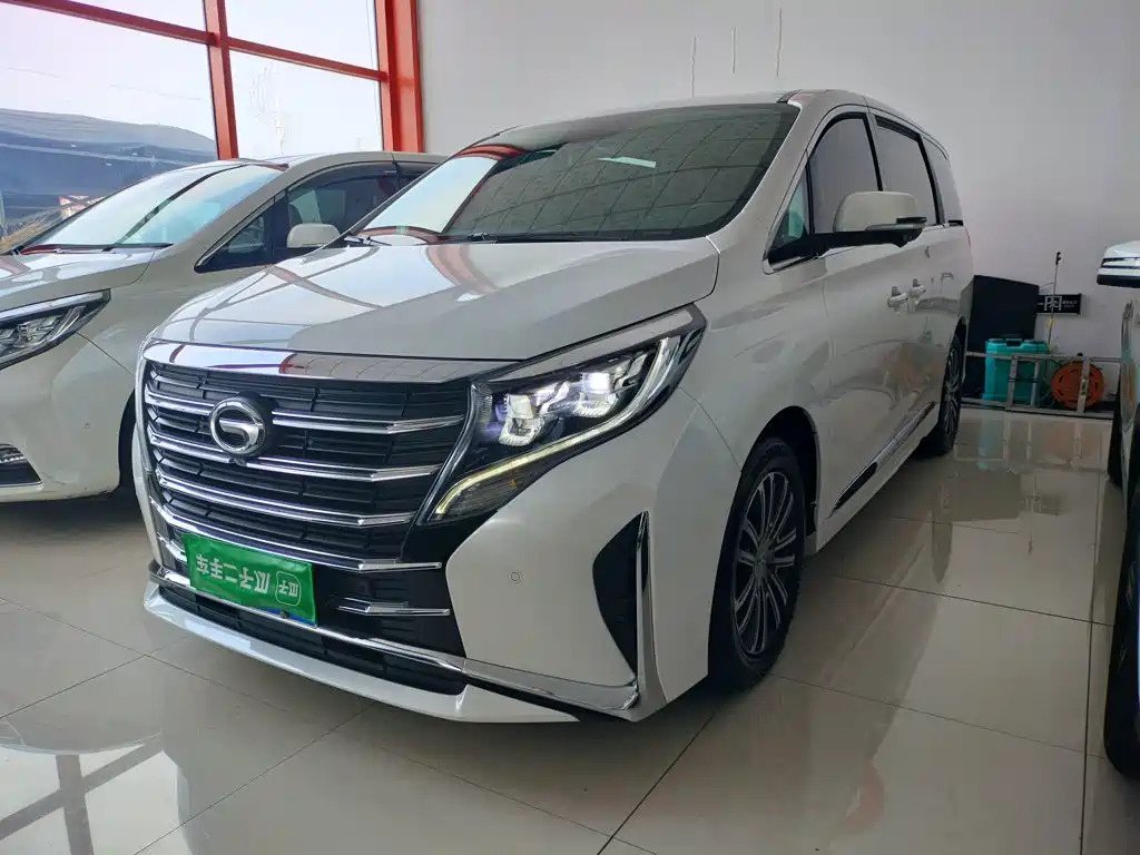 GAC Trumpchi M8 2020 — фото 3