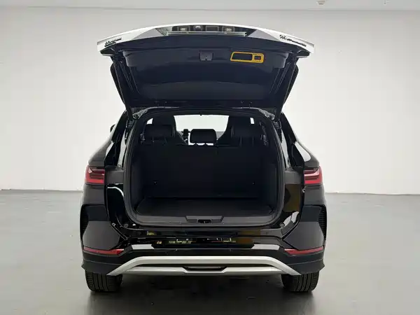 BYD Song PLUS New Energy 2024