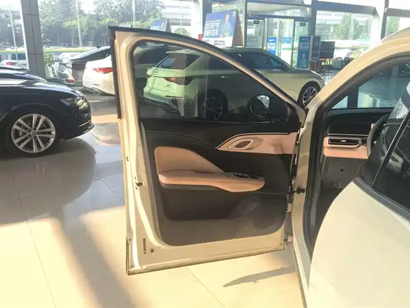 BYD Seagull 2024