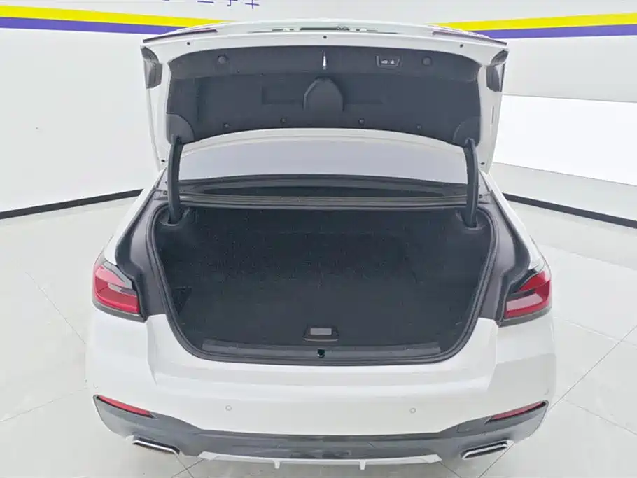 BMW 5 Series New Energy 2022