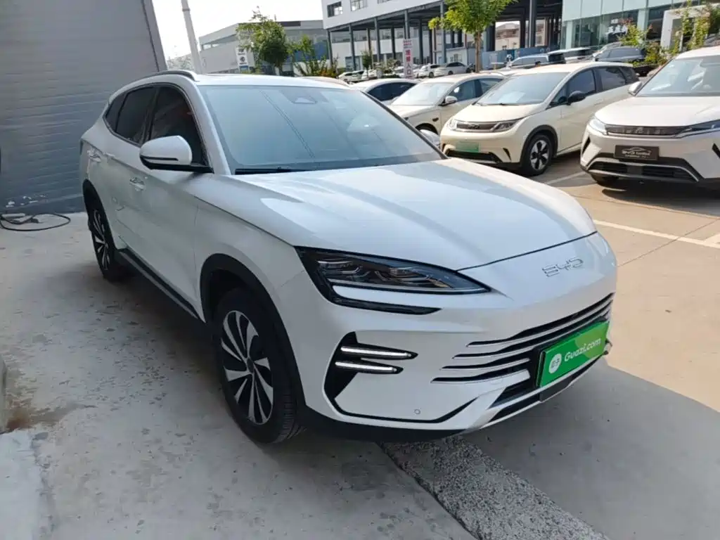 BYD PLUS New Energy 2024 — фото 4