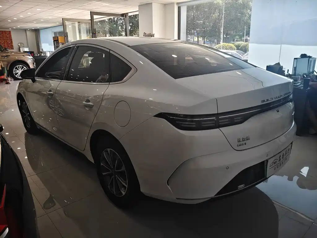 BYD Destroyer 05 2024 — фото 10