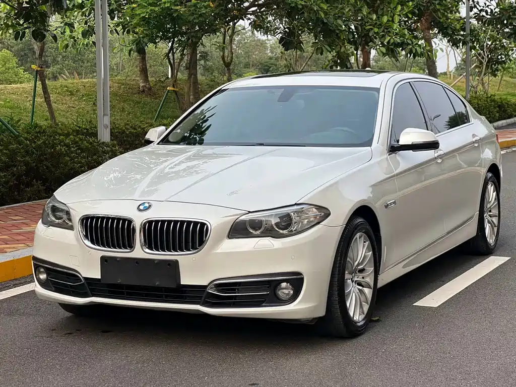BMW 5 Series 2014 — фото 1