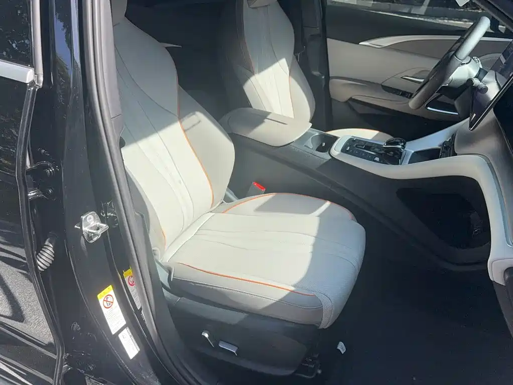 BYD Song Pro New Energy 2024 — фото 19