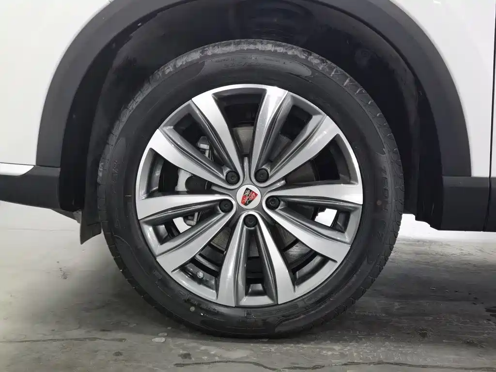 Roewe RX5 MAX 2020 — фото 17
