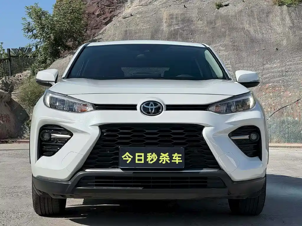 Toyota Wildlander 2021