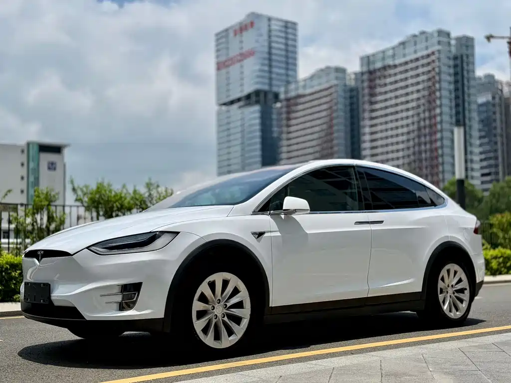 Tesla Model X 2019 — фото 1