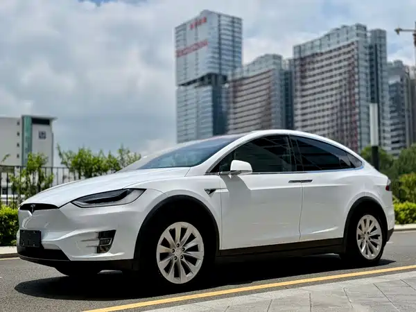 Tesla Model X 2019