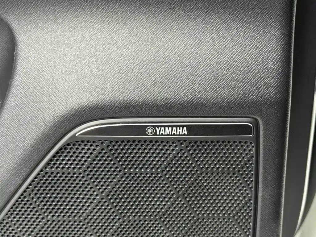 GAC Trumpchi E9 2024 — фото 22